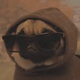 Me RN, minus the glasses.